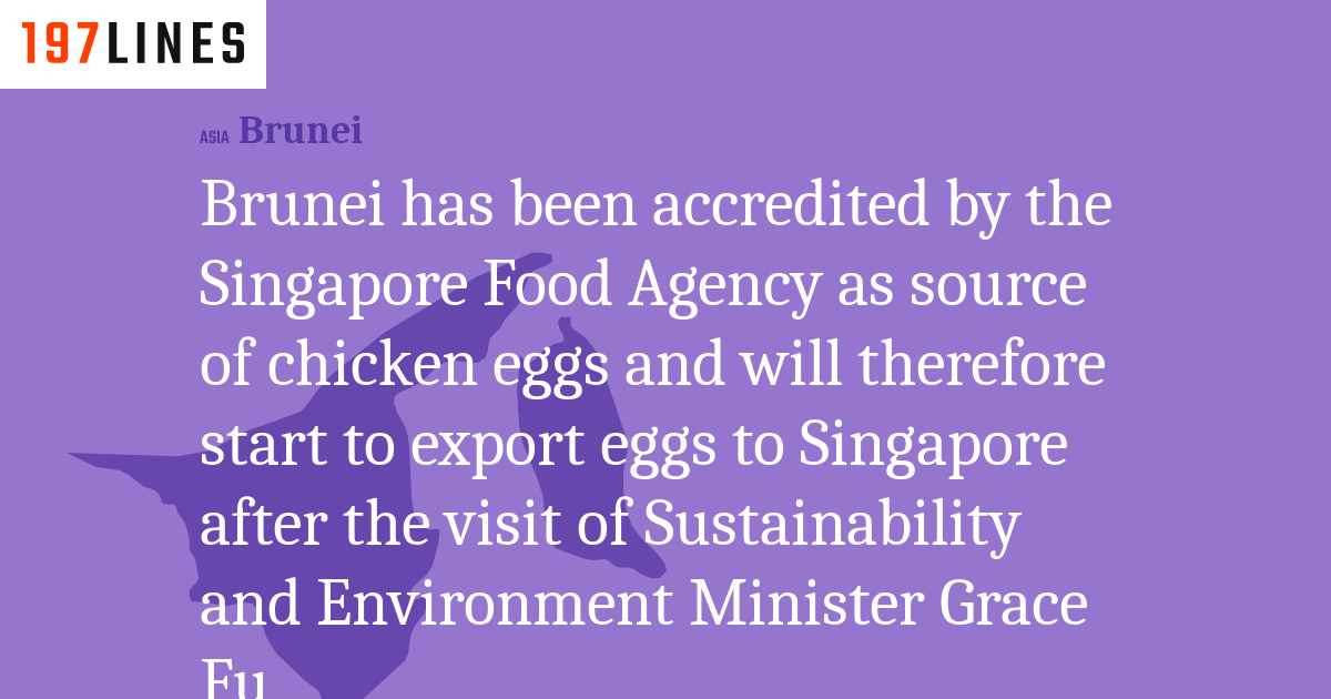 Singapore Will Start Importing Chicken Eggs From Brunei After