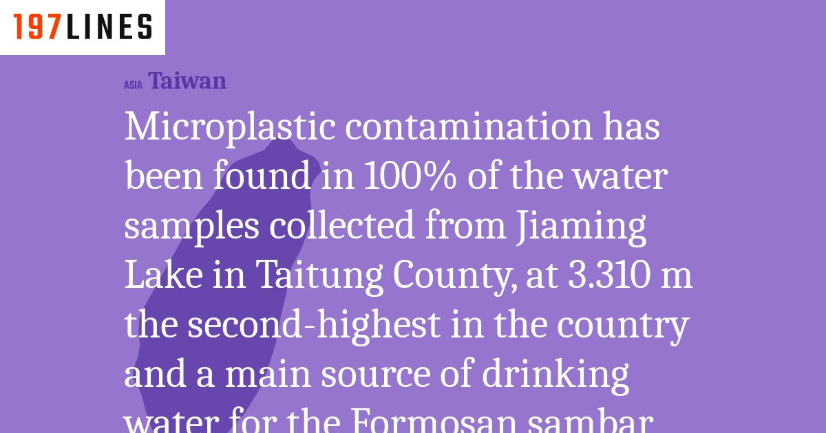 Microplastic contamination has been found in 100% of the water samples ...