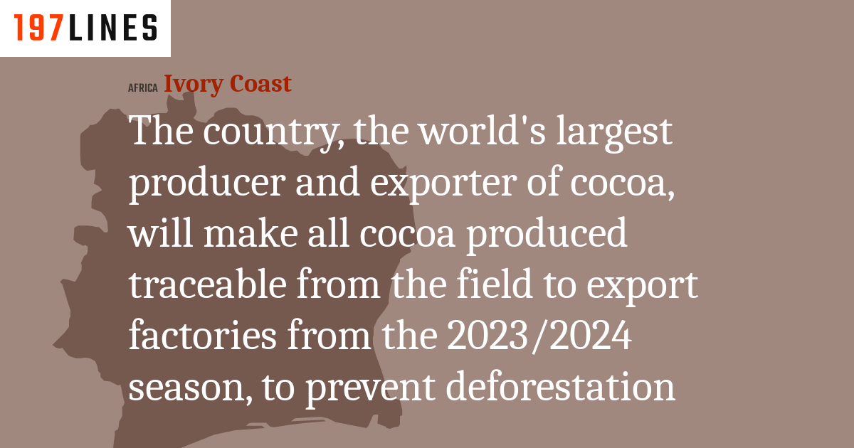 The Country The World S Largest Producer And Exporter Of Cocoa Will   The Country The Worlds Largest Producer And Exporter Of Cocoa Will Make All Cocoa Produced Traceable41548 